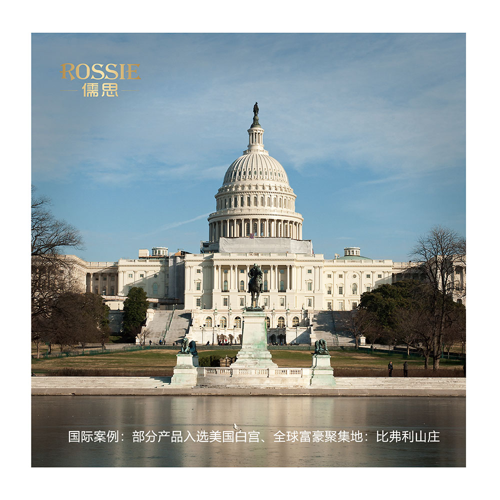 國際案例
